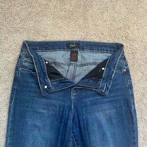 Earl Women's Skinny Jeans Blue Dark Wash Size 10